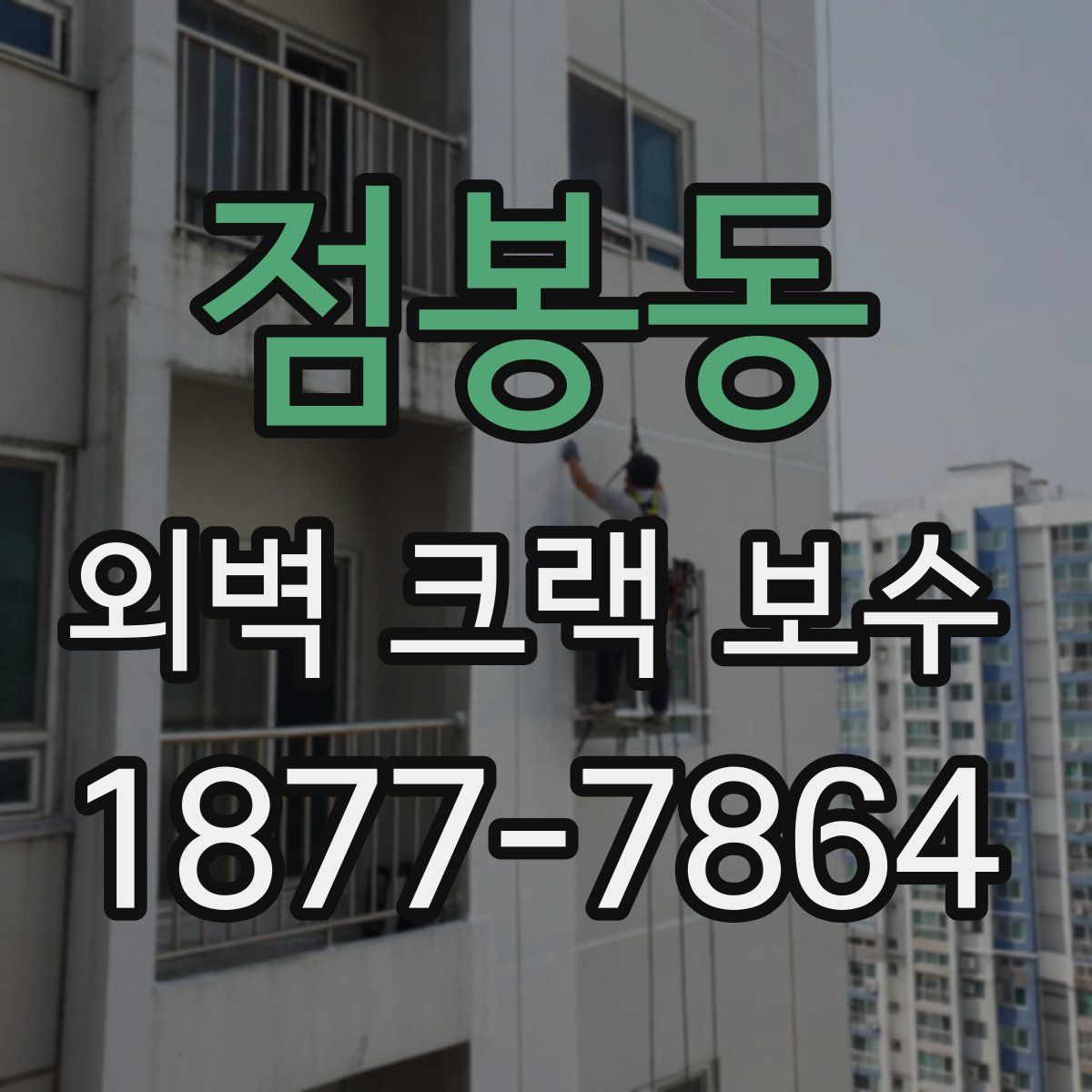 점봉동 외벽 크랙 보수