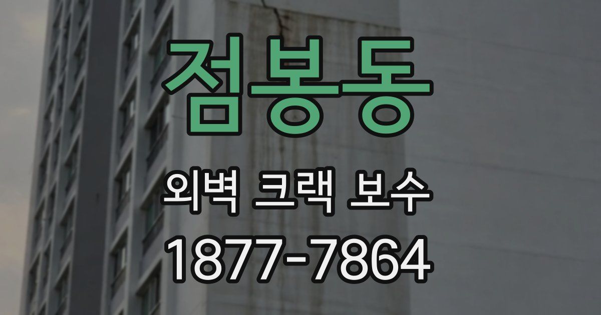 점봉동 외벽 크랙 보수