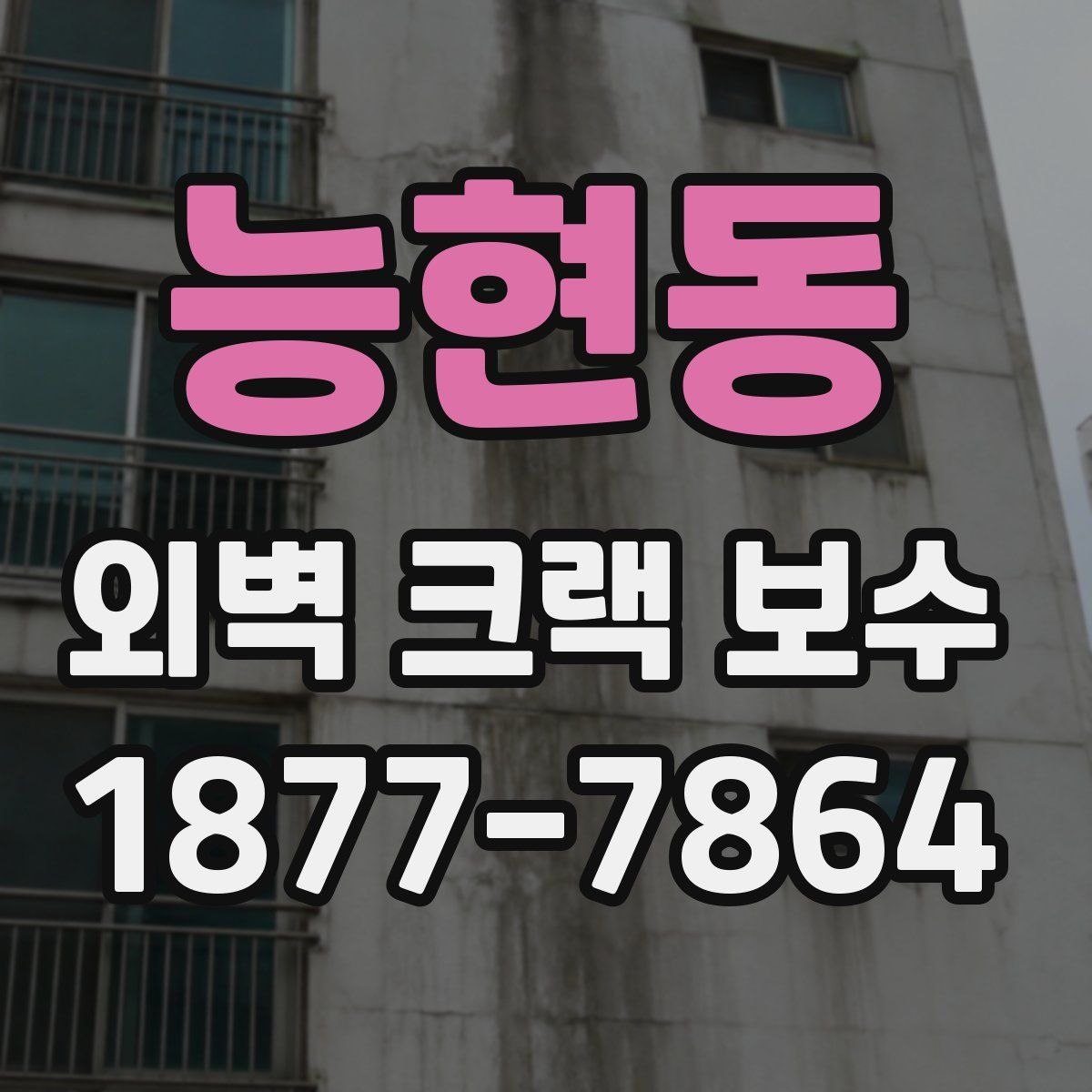 능현동 외벽 크랙 보수