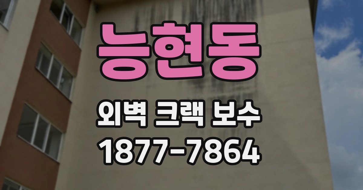 능현동 외벽 크랙 보수
