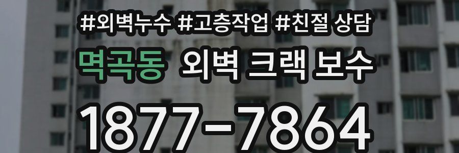 멱곡동 외벽 크랙 보수