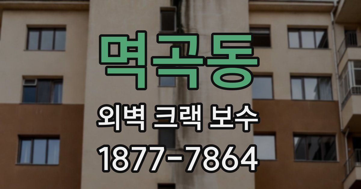 멱곡동 외벽 크랙 보수