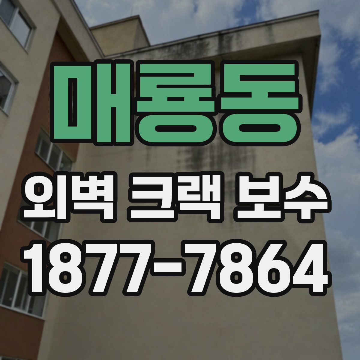 매룡동 외벽 크랙 보수