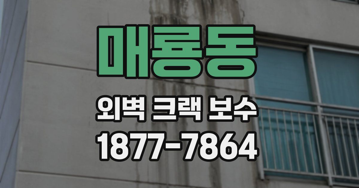 매룡동 외벽 크랙 보수