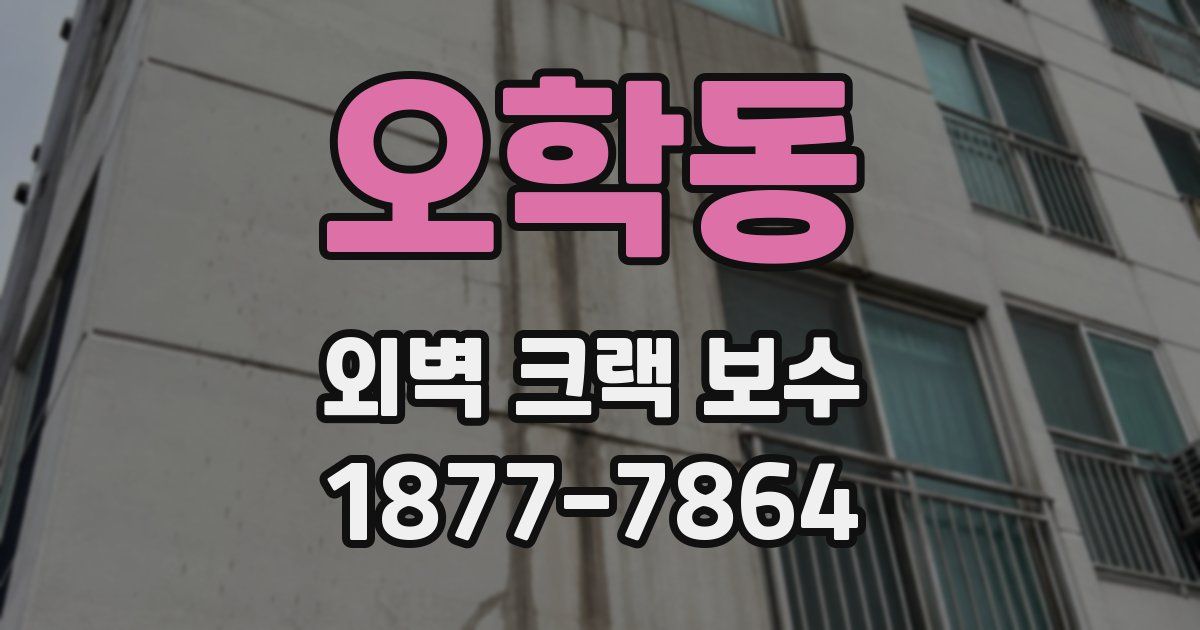 오학동 외벽 크랙 보수