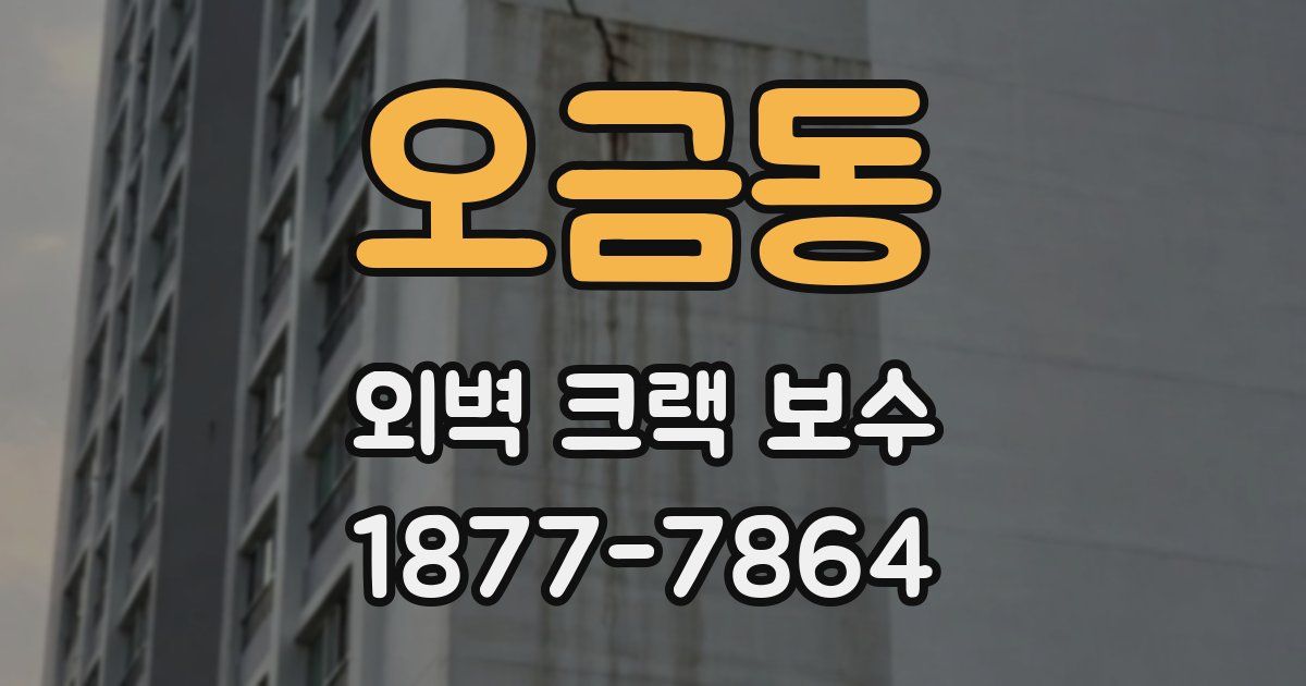 오금동 외벽 크랙 보수