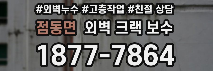 점동면 외벽 크랙 보수