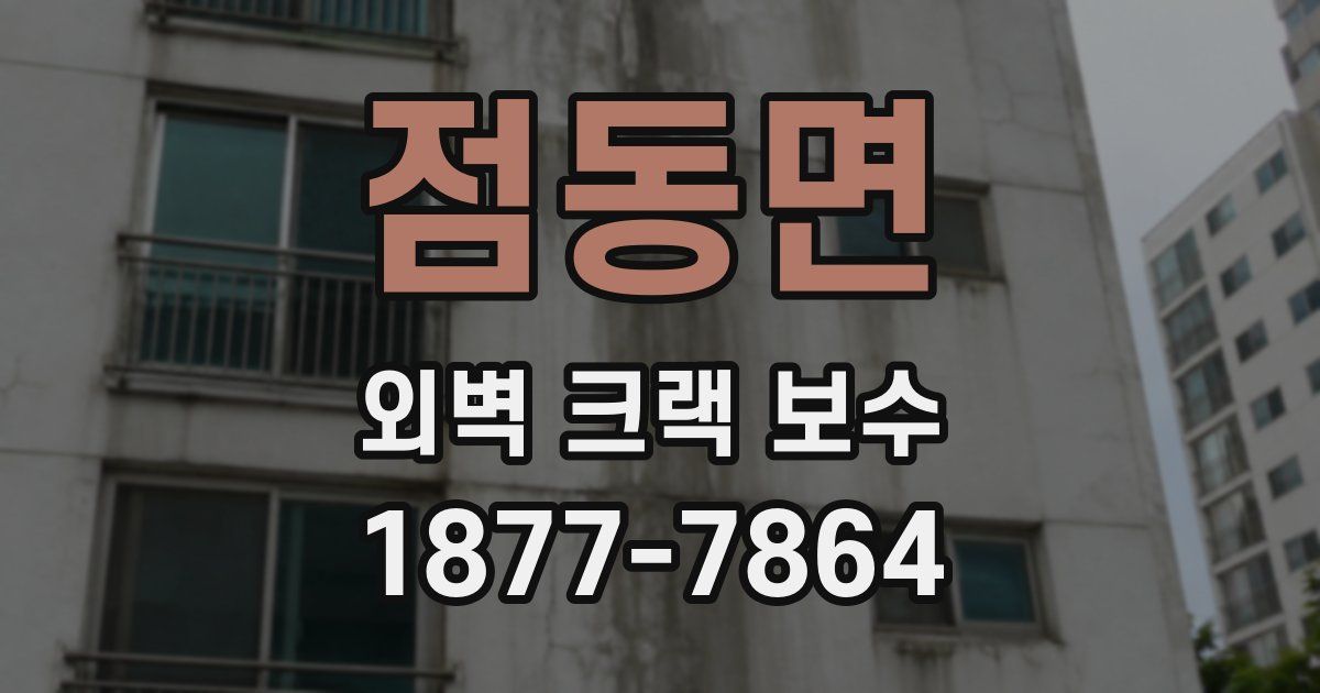 점동면 외벽 크랙 보수