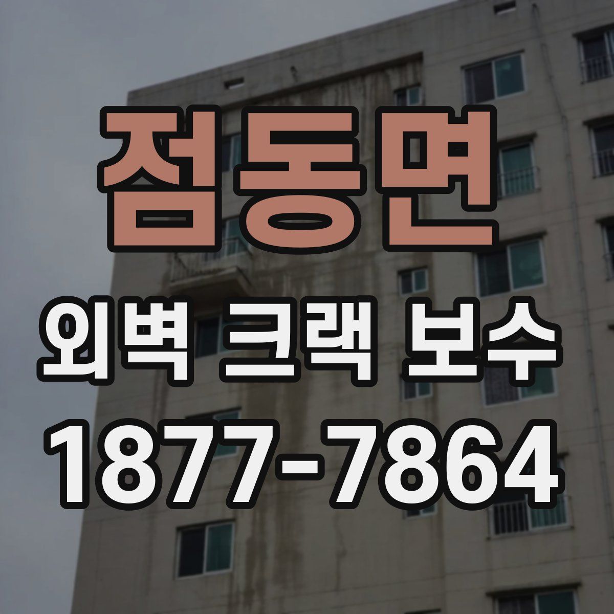 점동면 외벽 크랙 보수