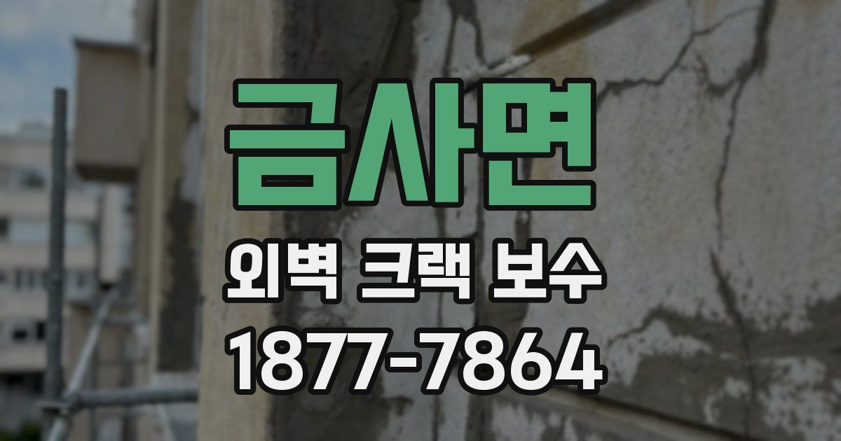 금사면 외벽 크랙 보수