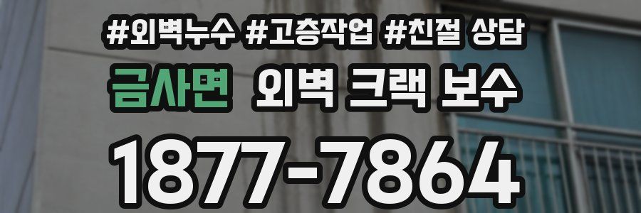 금사면 외벽 크랙 보수