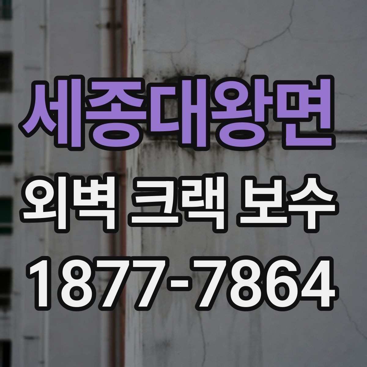 세종대왕면 외벽 크랙 보수 전후 달라지는 점 확인하기