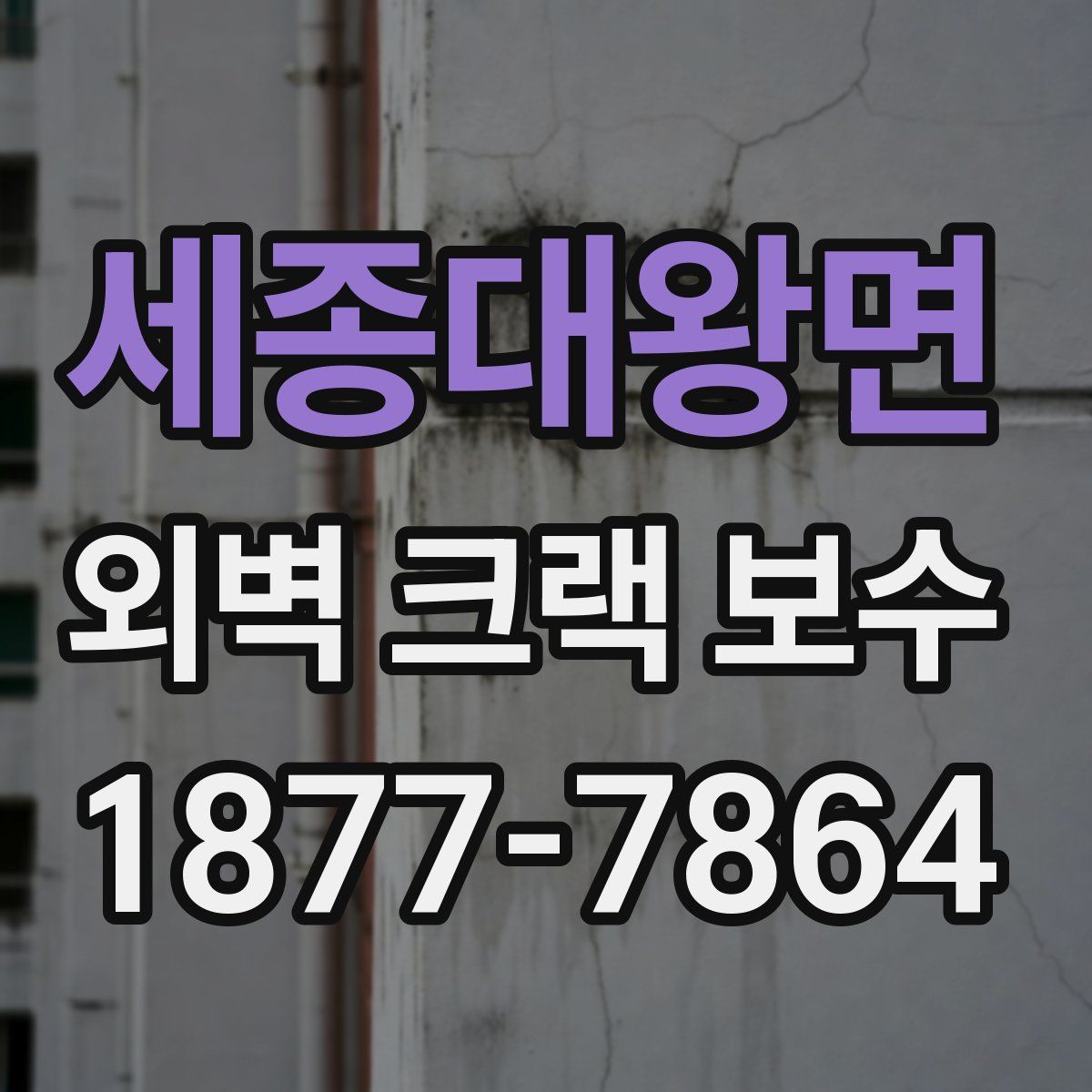 세종대왕면 외벽 크랙 보수