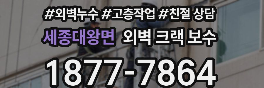 세종대왕면 외벽 크랙 보수