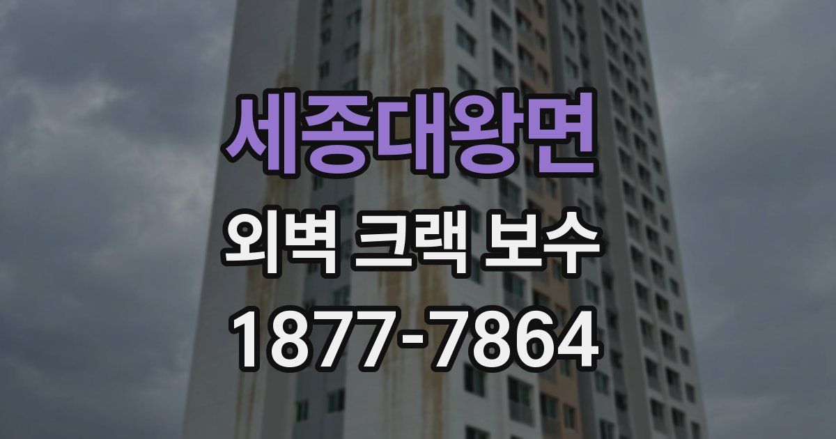세종대왕면 외벽 크랙 보수