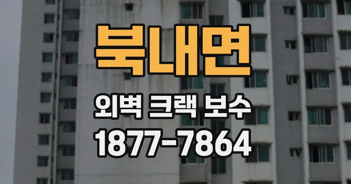 북내면 외벽 크랙 보수