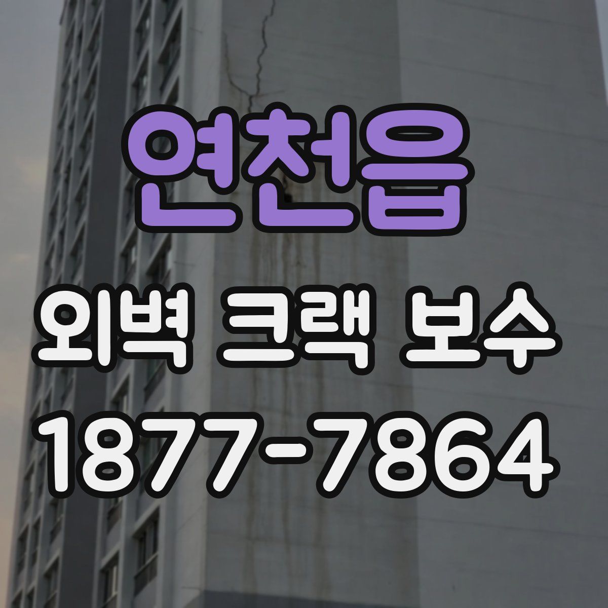 연천읍 외벽 크랙 보수