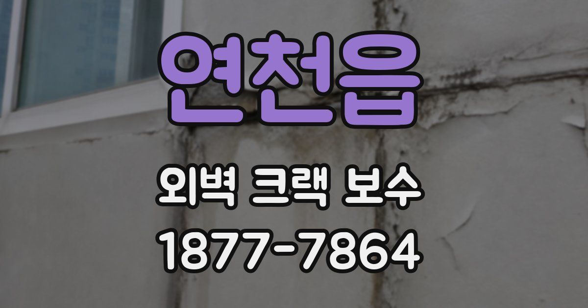 연천읍 외벽 크랙 보수