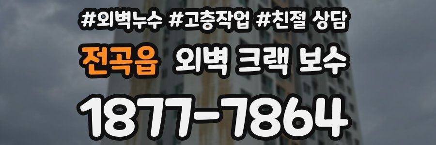 전곡읍 외벽 크랙 보수