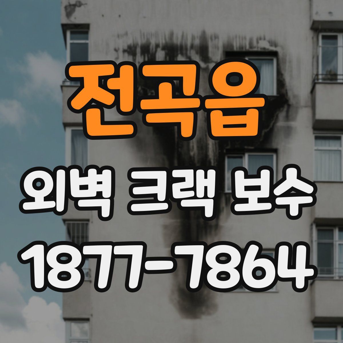 전곡읍 외벽 크랙 보수