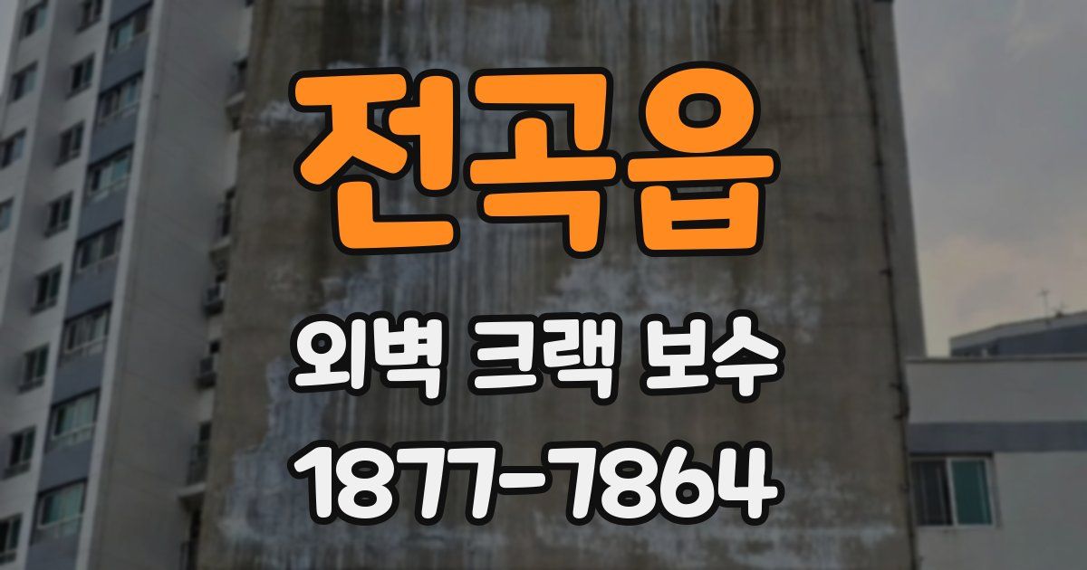 전곡읍 외벽 크랙 보수