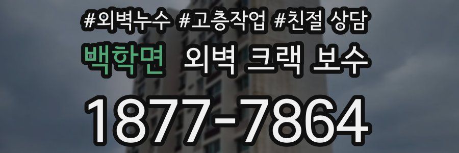 백학면 외벽 크랙 보수