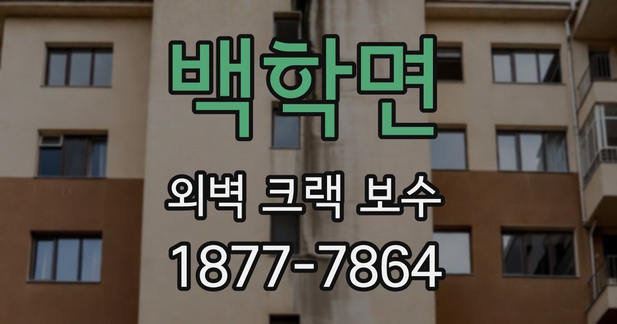 백학면 외벽 크랙 보수