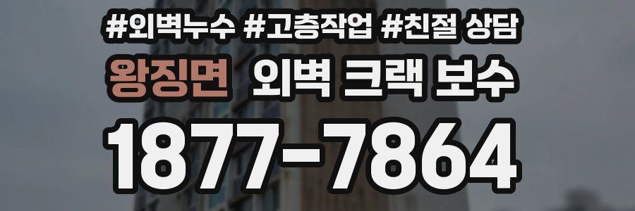 왕징면 외벽 크랙 보수