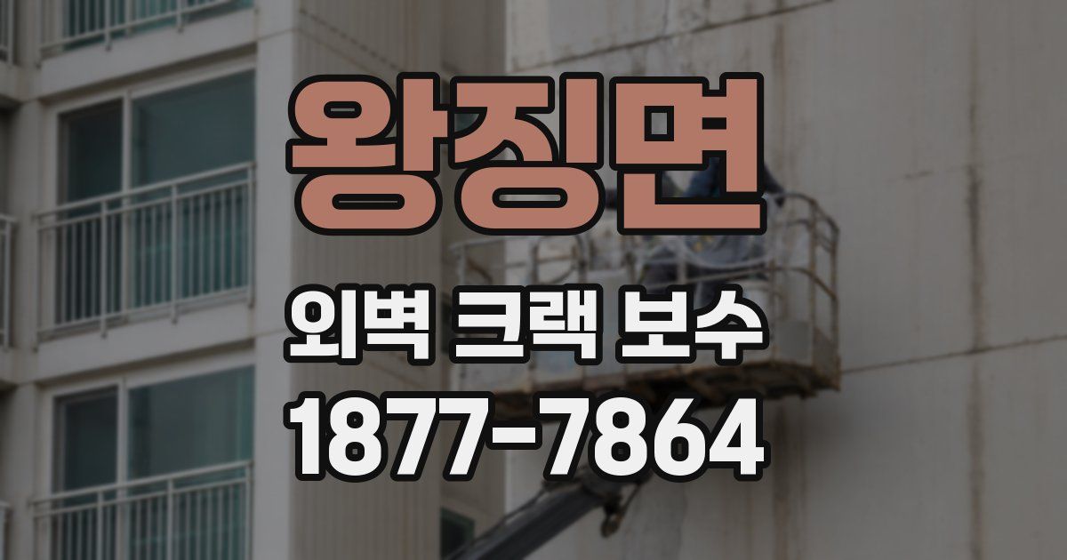 왕징면 외벽 크랙 보수