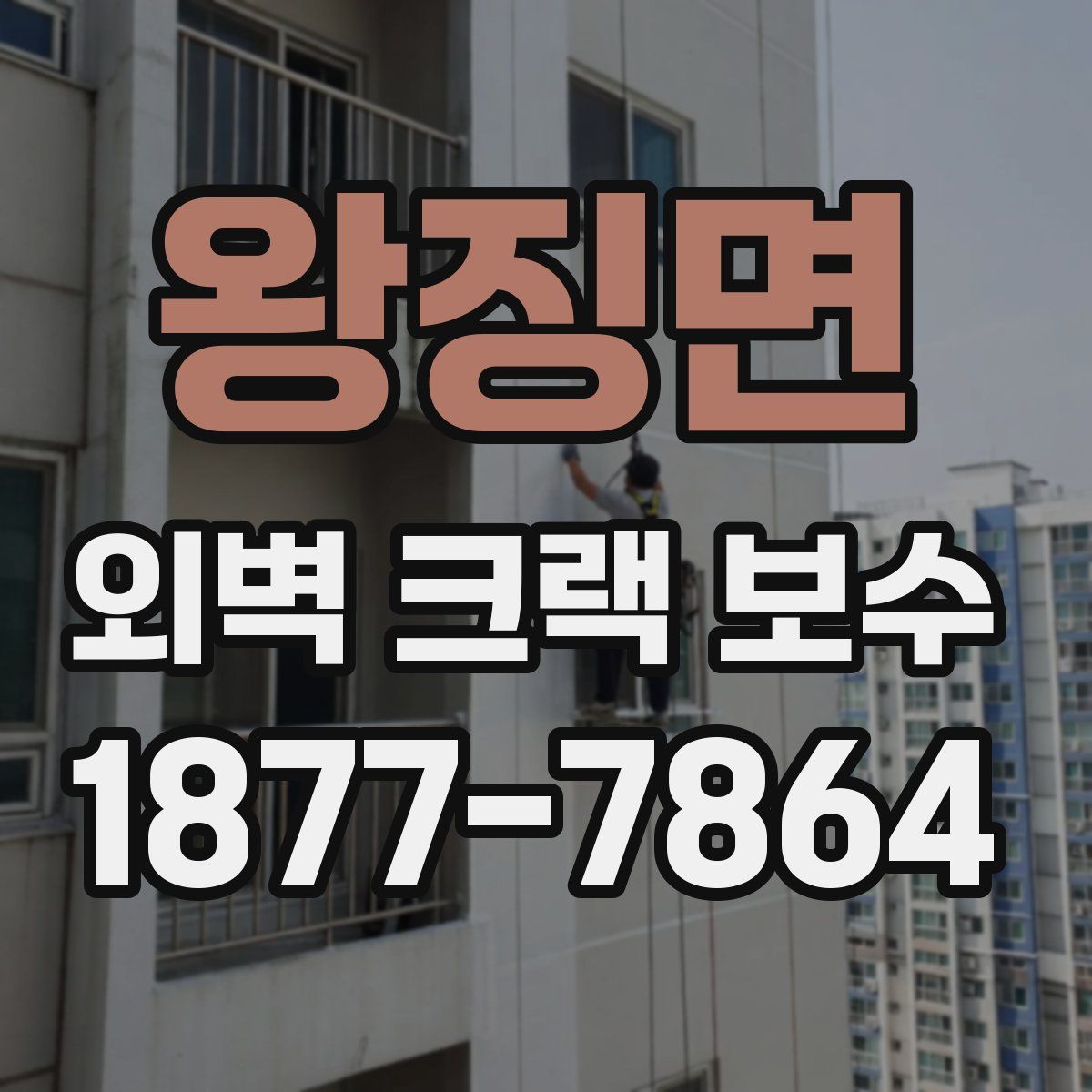 왕징면 외벽 크랙 보수