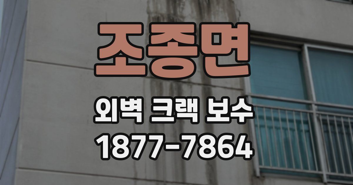 조종면 외벽 크랙 보수