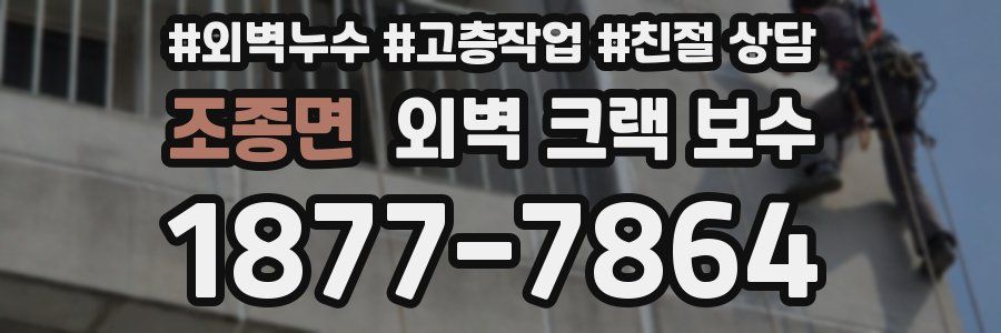 조종면 외벽 크랙 보수