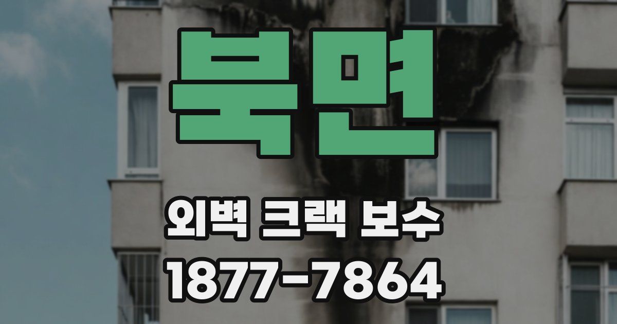 북면 외벽 크랙 보수
