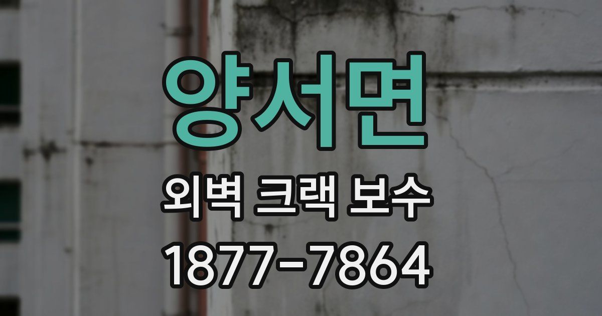 양서면 외벽 크랙 보수