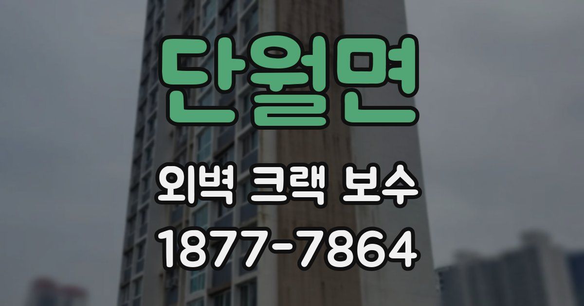 단월면 외벽 크랙 보수