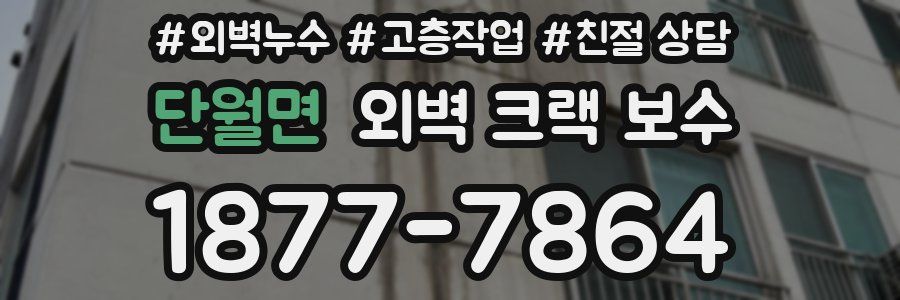 단월면 외벽 크랙 보수