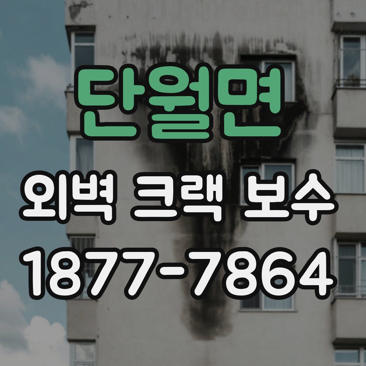 단월면 외벽 크랙 보수