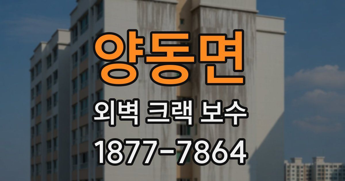 양동면 외벽 크랙 보수