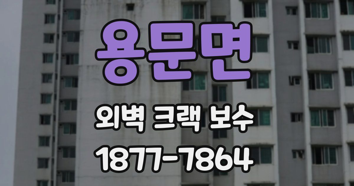 용문면 외벽 크랙 보수