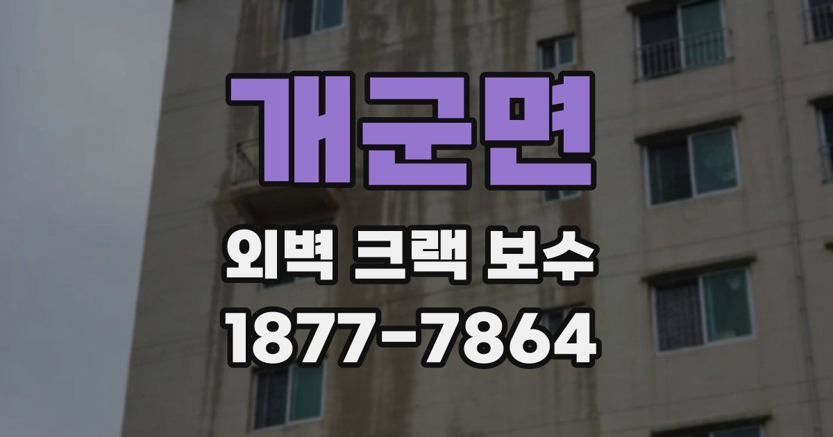 개군면 외벽 크랙 보수