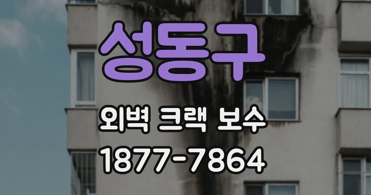 성동구 외벽 크랙 보수