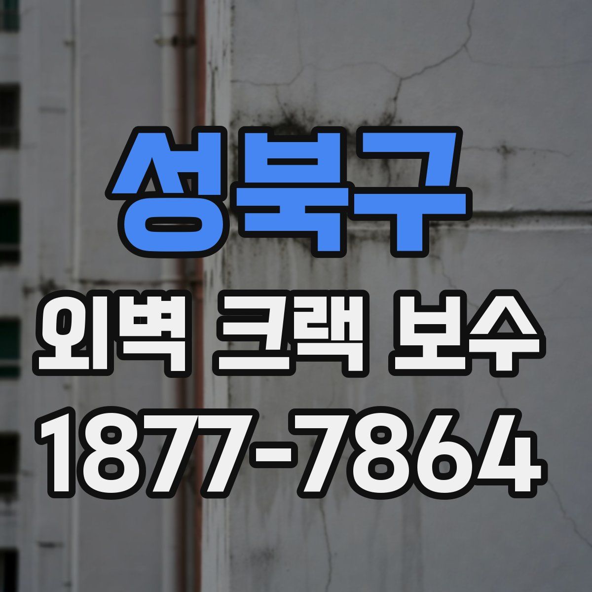 성북구 외벽 크랙 보수