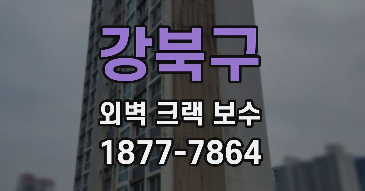 강북구 외벽 크랙 보수