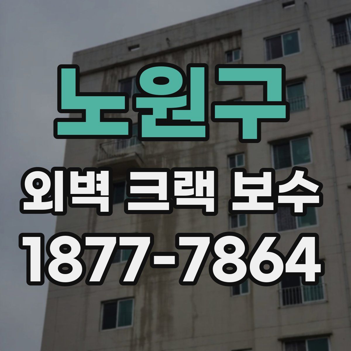 노원구 외벽 크랙 보수