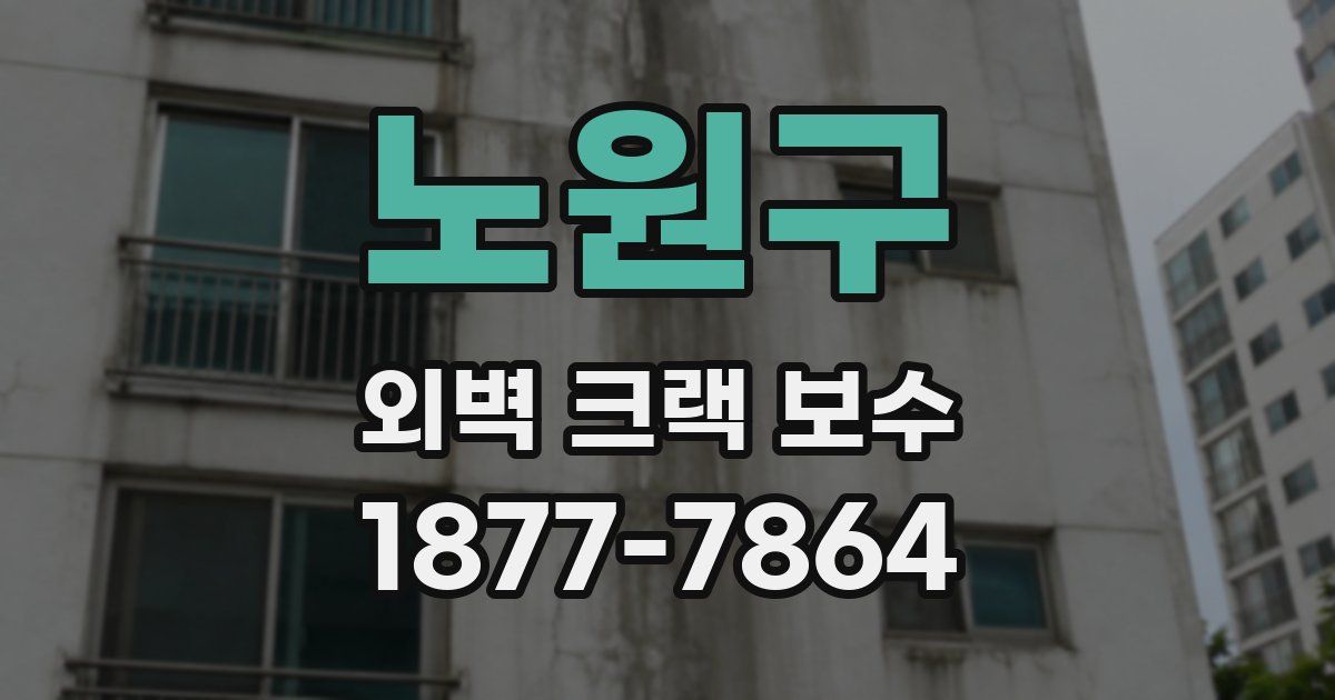 노원구 외벽 크랙 보수