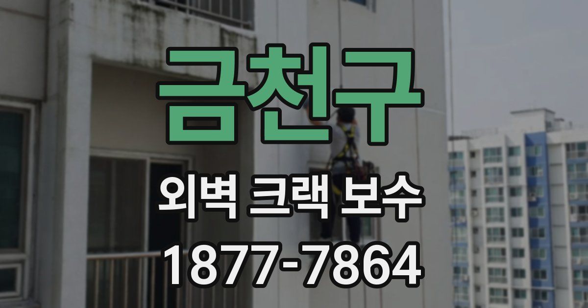 금천구 외벽 크랙 보수