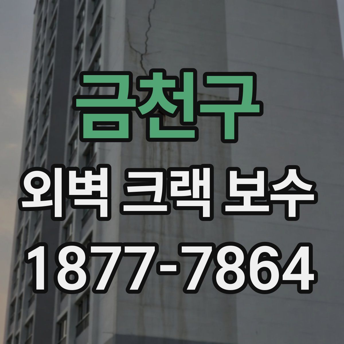 금천구 외벽 크랙 보수