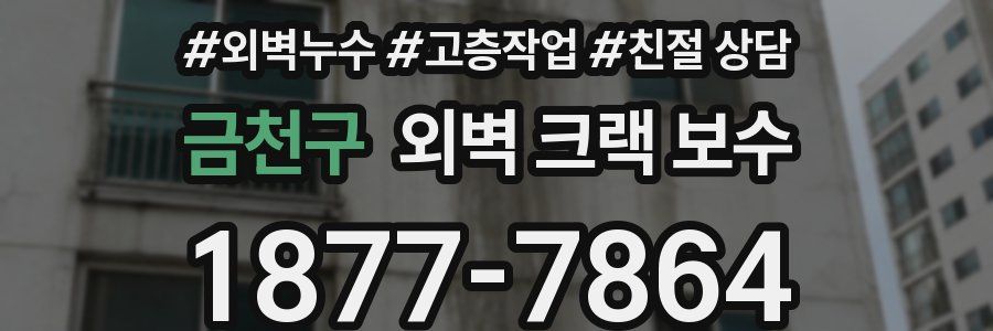 금천구 외벽 크랙 보수