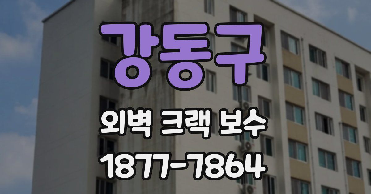 강동구 외벽 크랙 보수