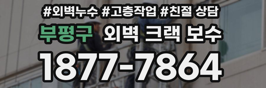 부평구 외벽 크랙 보수